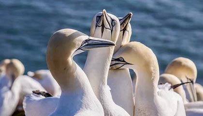 hth-KOK体育：点亮你心中的专属观赛之旅