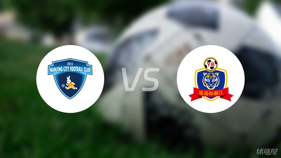 南京城市vs延边龙鼎比赛结果